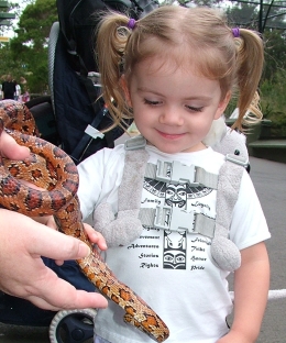 Sienna Patting Snake At Taronga Zoo